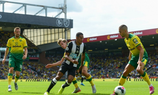 Nhận định trận Newcastle vs Norwich, 02h30 ngày 1/12