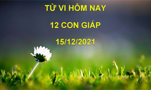 Tử vi hôm nay 15/12/2021, thứ 4 ngày 12/11 âm lịch của 12 con giáp