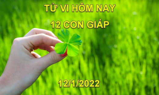 Tử vi hôm nay 12/1/2022, thứ 4 ngày 10/12 âm lịch của 12 con giáp