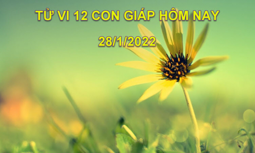 Tử vi hôm nay 28/1/2022, thứ 6 ngày 26/12 âm lịch của 12 con giáp