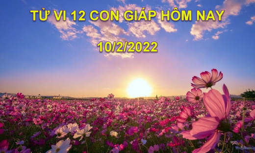 Tử vi hôm nay 10/2/2022, thứ 5 ngày 10/1 âm lịch của 12 con giáp