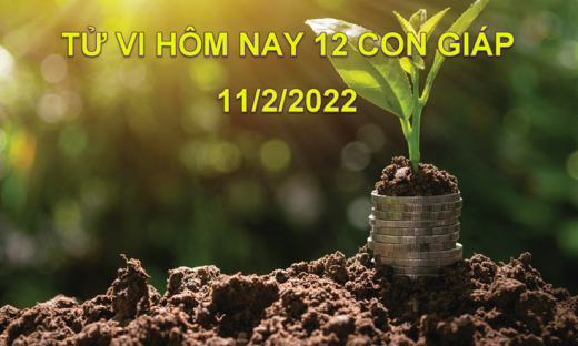 Tử vi hôm nay 11/2/2022, thứ 6 ngày 11/1 âm lịch của 12 con giáp