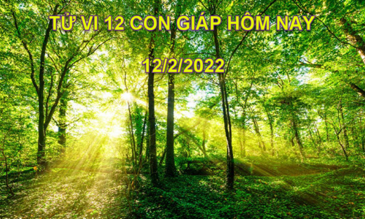 Tử vi hôm nay 12/2/2022, thứ 7 ngày 12/1 âm lịch của 12 con giáp