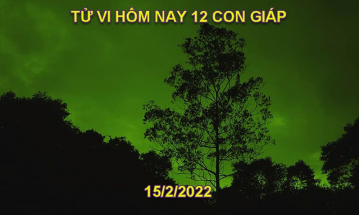 Tử vi hôm nay 15/2/2022, thứ 3 ngày 15/1 âm lịch của 12 con giáp