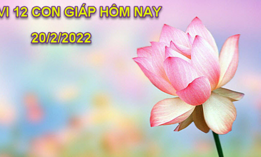 Tử vi hôm nay 20/2/2022, Chủ nhật ngày 20/1 âm lịch của 12 con giáp