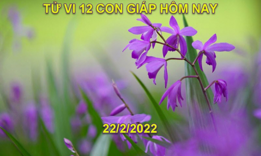 Tử vi hôm nay 22/2/2022, thứ 3 ngày 22/1 âm lịch của 12 con giáp