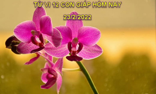 Tử vi hôm nay 23/2/2022, thứ 4 ngày 23/1 âm lịch của 12 con giáp