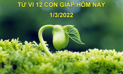 Tử vi hôm nay 1/3/2022, thứ 3 ngày 29/1 âm lịch của 12 con giáp