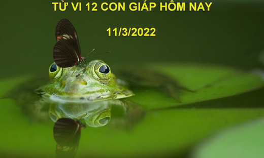 Tử vi 11/3/2022 hôm nay thứ 6 ngày 9/2 âm lịch của 12 con giáp