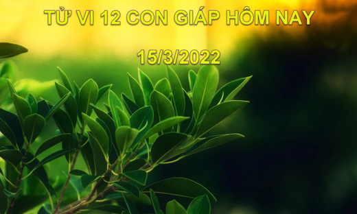 Tử vi 15/3/2022 hôm nay thứ 3 ngày 13/2 âm lịch của 12 con giáp