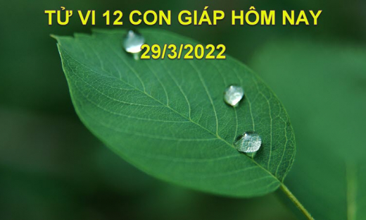 Tử vi 29/3/2022 hôm nay thứ 3 ngày 27/2 âm lịch của 12 con giáp