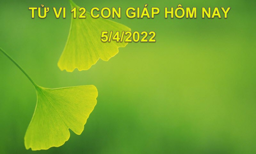 Tử vi 5/4/2022 hôm nay thứ 3 ngày 5/3 âm lịch của 12 con giáp