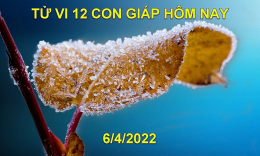 Tử vi 6/4/2022 hôm nay thứ 4 ngày 6/3 âm lịch của 12 con giáp