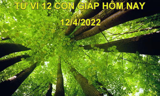 Tử vi 12/4/2022 hôm nay thứ 3 ngày 12/3 âm lịch của 12 con giáp