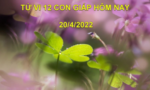 Tử vi 20/4/2022 hôm nay thứ 4 ngày 20/3 âm lịch của 12 con giáp