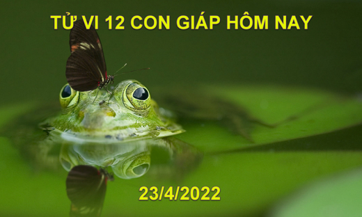 Tử vi 23/4/2022 hôm nay thứ 7 ngày 23/3 âm lịch của 12 con giáp