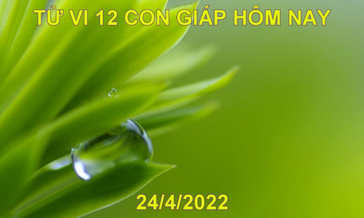 Tử vi 24/4/2022 hôm nay Chủ nhật ngày 24/3 âm lịch của 12 con giáp