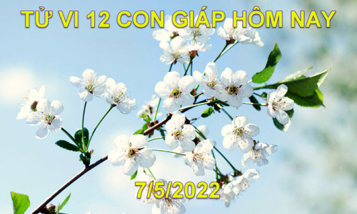 Tử vi 7/5/2022 hôm nay thứ 7 ngày 7/4 âm lịch của 12 con giáp