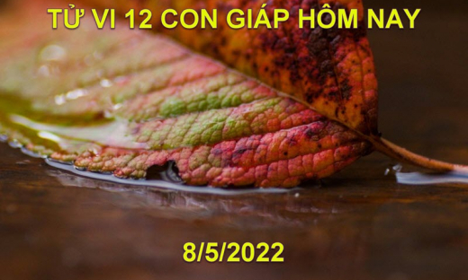 Tử vi 8/5/2022 hôm nay Chủ nhật ngày 8/4 âm lịch của 12 con giáp