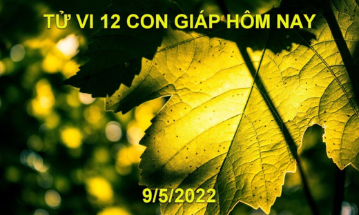 Tử vi 9/5/2022 hôm nay thứ 2 ngày 9/4 âm lịch của 12 con giáp