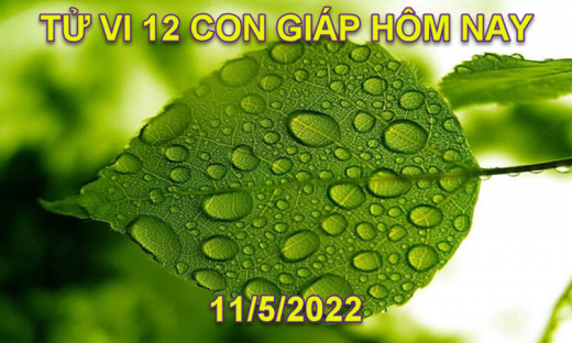 Tử vi 11/5/2022 hôm nay thứ 4 ngày 11/4 âm lịch của 12 con giáp