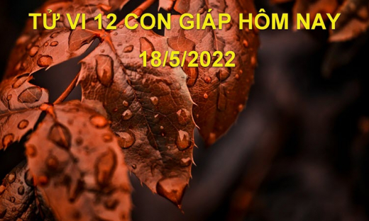 Tử vi 18/5/2022 hôm nay thứ 4 ngày 18/4 âm lịch của 12 con giáp