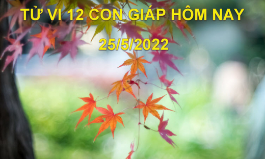 Tử vi 25/5/2022 hôm nay thứ 4 ngày 25/4 âm lịch của 12 con giáp