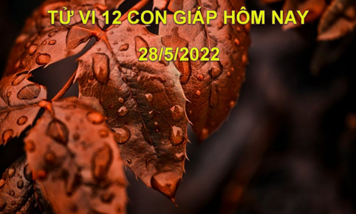 Tử vi 28/5/2022 hôm nay, thứ 7 ngày 28/4 âm lịch của 12 con giáp