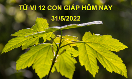 Tử vi 31/5/2022 hôm nay, thứ 3 ngày 2/5 âm lịch của 12 con giáp