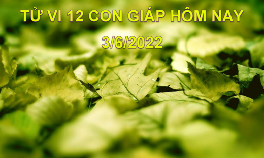 Tử vi 3/6/2022 hôm nay, thứ 6 ngày 5/5 âm lịch của 12 con giáp