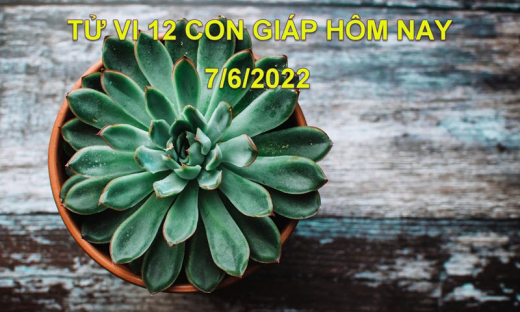 Tử vi 7/6/2022 hôm nay, thứ 3 ngày 9/5 âm lịch của 12 con giáp