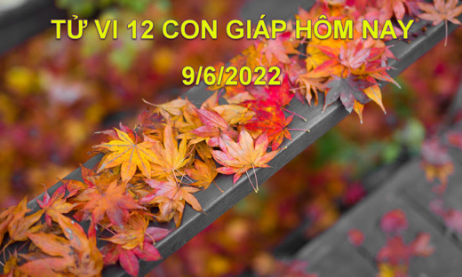 Tử vi 9/6/2022 hôm nay, thứ 5 ngày 11/5 âm lịch của 12 con giáp