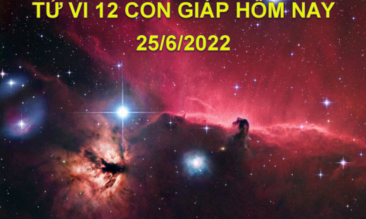 Tử vi 25/6/2022 hôm nay, thứ 7 ngày 27/5 âm lịch của 12 con giáp