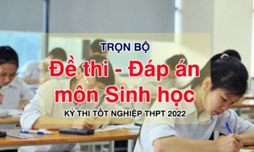 Đáp án đề thi tốt nghiệp THPT 2022 môn Sinh học (tất cả các mã đề)