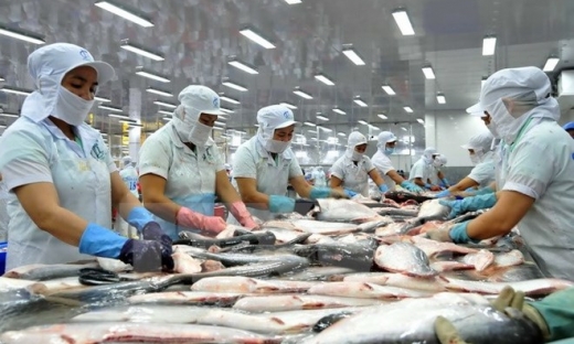 Xuất khẩu cá tra giảm ở thị trường lớn, tăng ở thị trường nhỏ