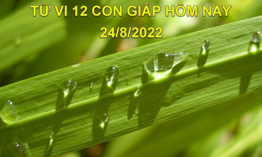 Tử vi hôm nay 24/8/2022, thứ 4 ngày 27/7 âm lịch của 12 con giáp