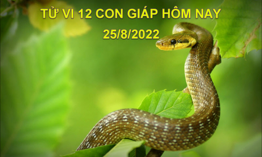 Tử vi hôm nay 25/8/2022, thứ 5 ngày 28/7 âm lịch của 12 con giáp