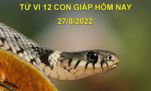 Tử vi hôm nay 27/8/2022, thứ 7 ngày 1/8 âm lịch của 12 con giáp