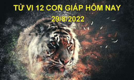 Tử vi hôm nay 29/8/2022, thứ 2 ngày 3/8 âm lịch của 12 con giáp