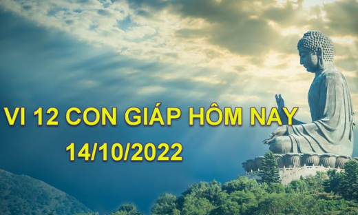 Tử vi hôm nay 14/10/2022, thứ 6 ngày 19/9 âm lịch của 12 con giáp