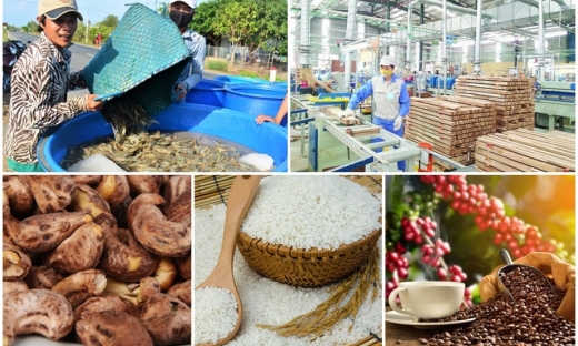 Trung Quốc chi 8,7 tỷ USD mua nông sản của Việt Nam