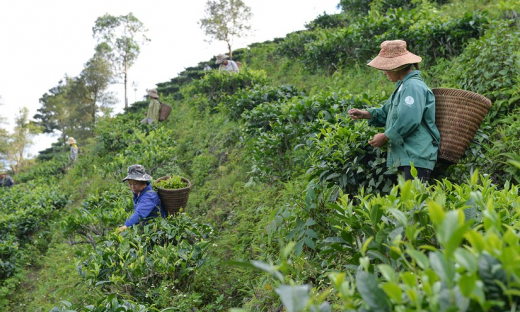 Nghệ An: Giải quyết tình trạng thiếu đất, nhà ở, nước sinh hoạt ở vùng đồng bào DTTSMN là nhiệm vụ quan trọng