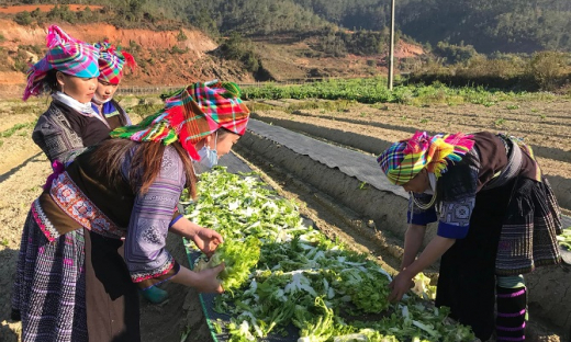 Tỷ lệ hộ nghèo trong vùng đồng bào dân tộc thiểu số và miền núi tỉnh Yên Bái giảm bình quân 7,66%