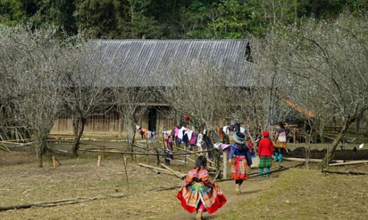 Tủa Chùa (Điện Biên): Đẩy nhanh tiến độ làm nhà cho người nghèo