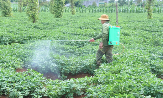 Xây dựng hạ tầng thiết yếu, giúp đồng bào dân tộc thiểu số thoát nghèo