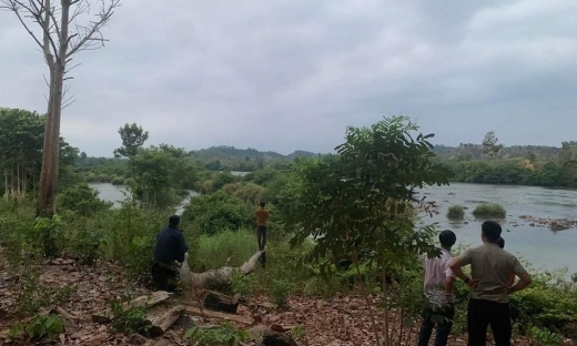 Gia Lai: Tìm thấy thi thể nam thanh niên mất tích khi đi câu cá trên sông Pô Cô
