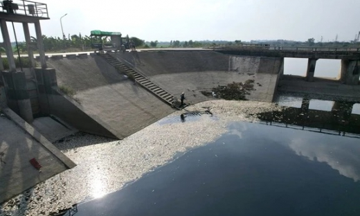 Hàng tấn cá chết trắng sông Ngũ Huyện Khê (Bắc Ninh)