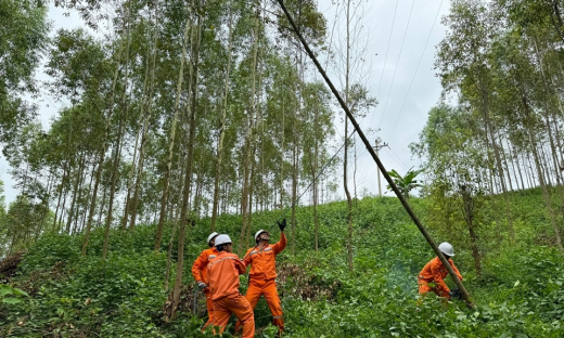 Tổng công ty Điện lực miền Bắc sẵn sàng các phương án đảm bảo cung cấp điện dịp nghỉ lễ Quốc khánh 2/9/2024