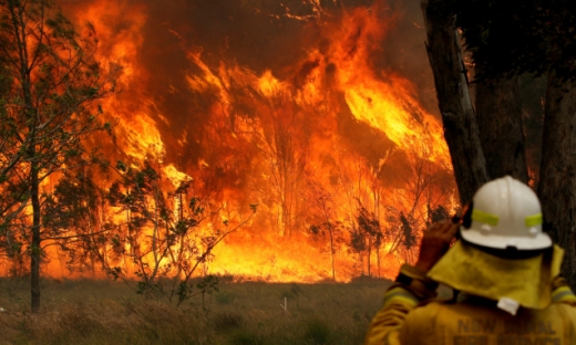 Các tỉnh phía Nam có nguy cơ cháy rừng ở mức rất cao