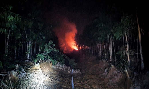 Kiên Giang: Huy động hơn 200 người chữa cháy rừng trong đêm